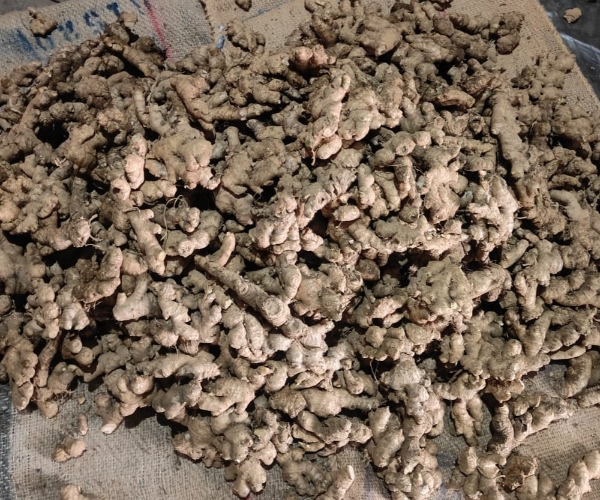 Raw Ginger