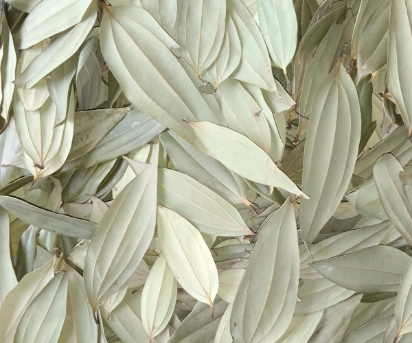 Bay leaves