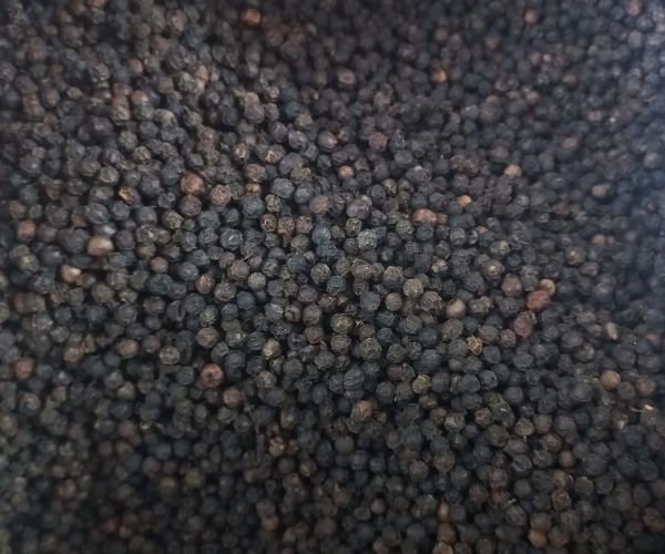Black pepper
